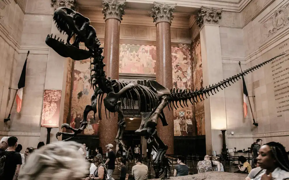 Things to Do in NYC 13 Dinosaur skeleton in the Theodore Roosevelt Rotunda at the American Museum of Natural History in New York City