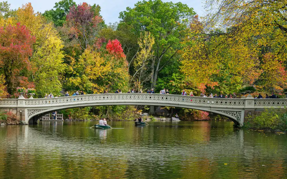 Things to Do in NYC 9 Bow Bridge over the Lake in Central Park surrounded by autumn foliage