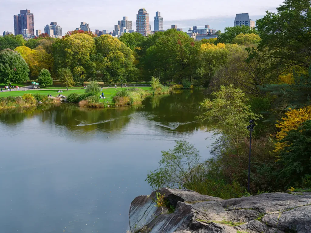 American Museum of Natural History: Tickets, Route, and How Long You Really Need 4 Autumn colour over a lake in Central Park, with the Manhattan skyline behind